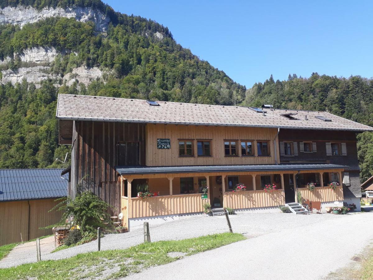 Bauernhof Farnach Apartment Andelsbuch Bagian luar foto